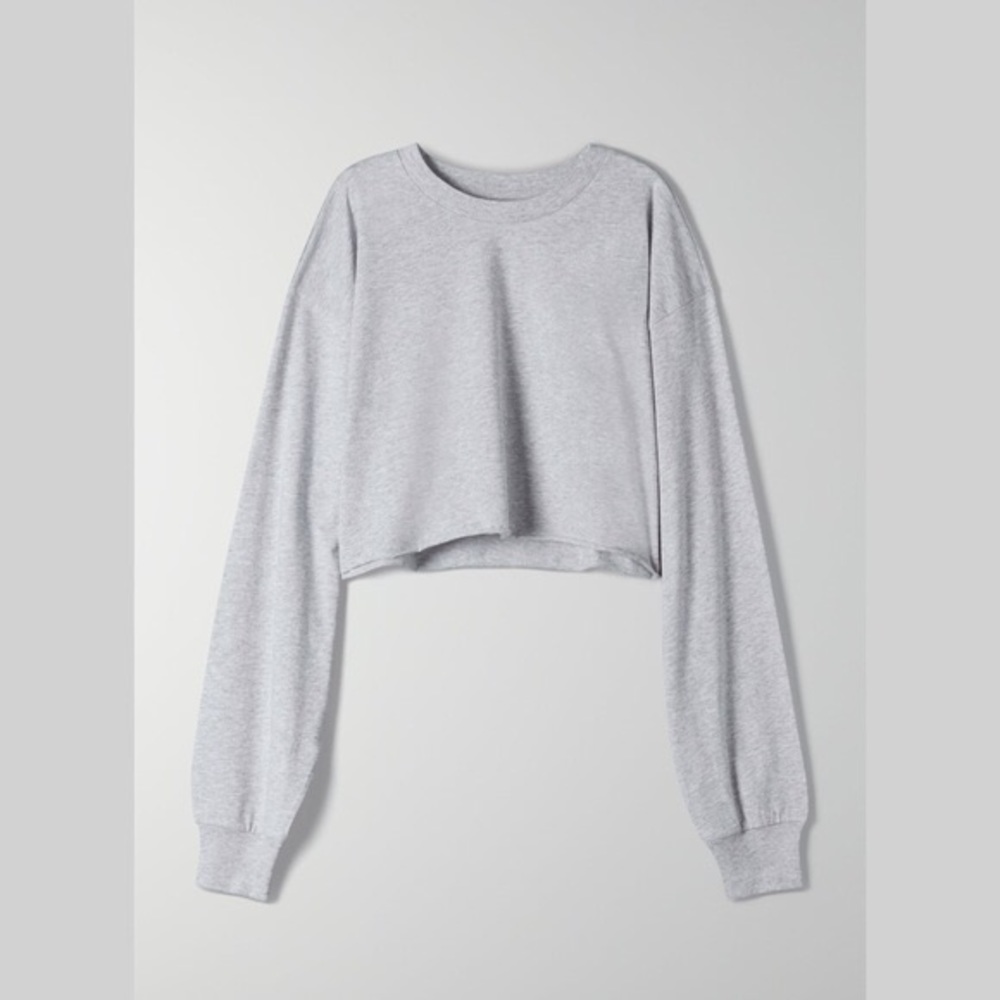 Aritzia TNA Cropped Long Sleeve Tee (Gray)
